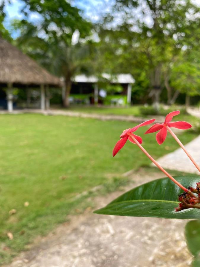 Eco Hotel Bosque Encantado Ісла-Гранде Екстер'єр фото